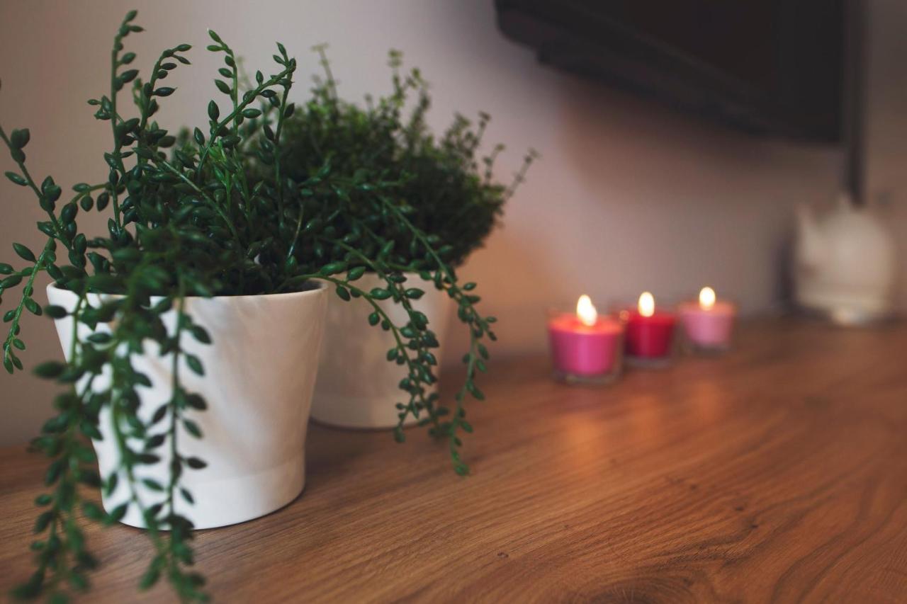 Apartamenty Willove Wzgorze Duszniki Zdrój Exteriör bild